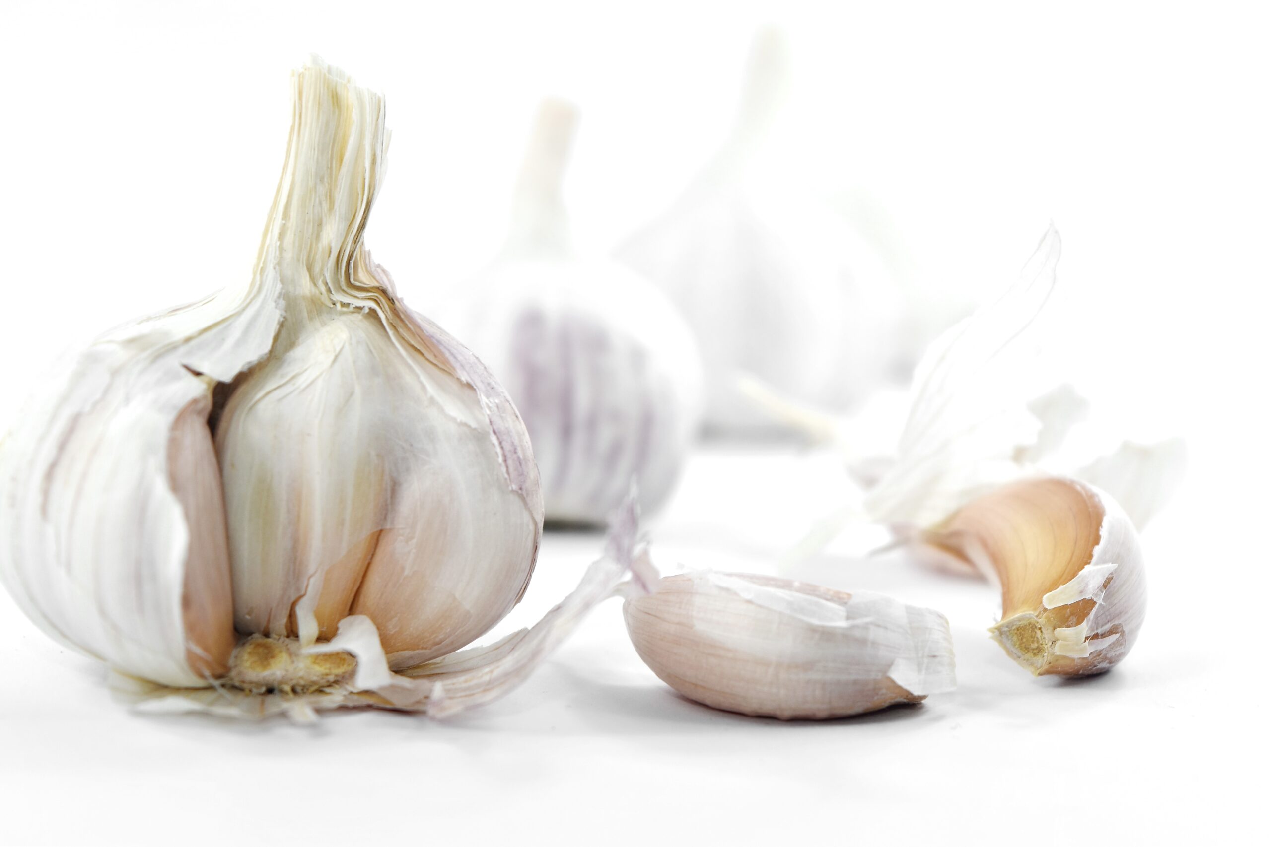 Gorgeous Garlic