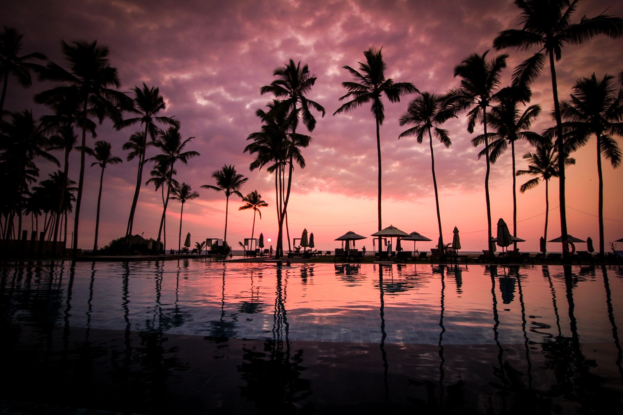 Palm Sunset For Imagination Travel