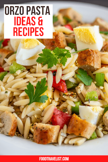 Orzo Pasta Ideas And Recipes - Living and Traveling in Portugal
