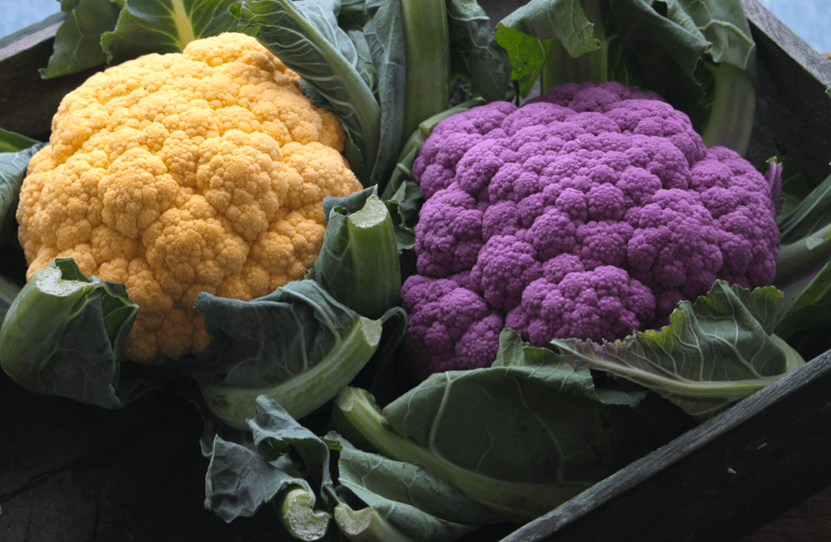 Fun Cauliflower Colors