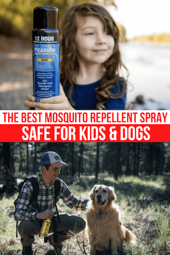 Best mosquito repellent outlet for dogs