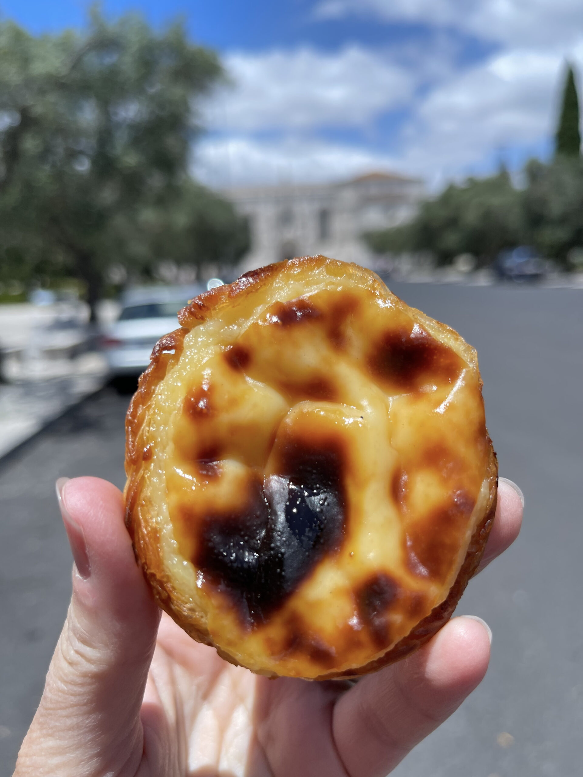 pastel de nata