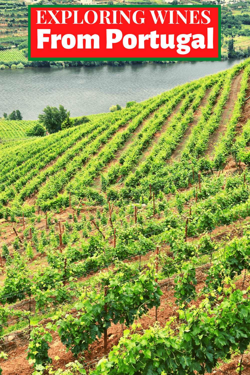 Portugal wine pin