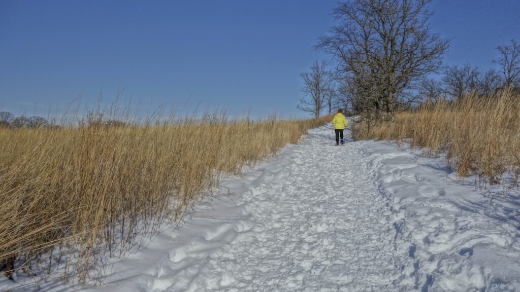 snow shoeing