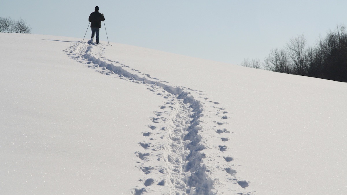 snow shoe