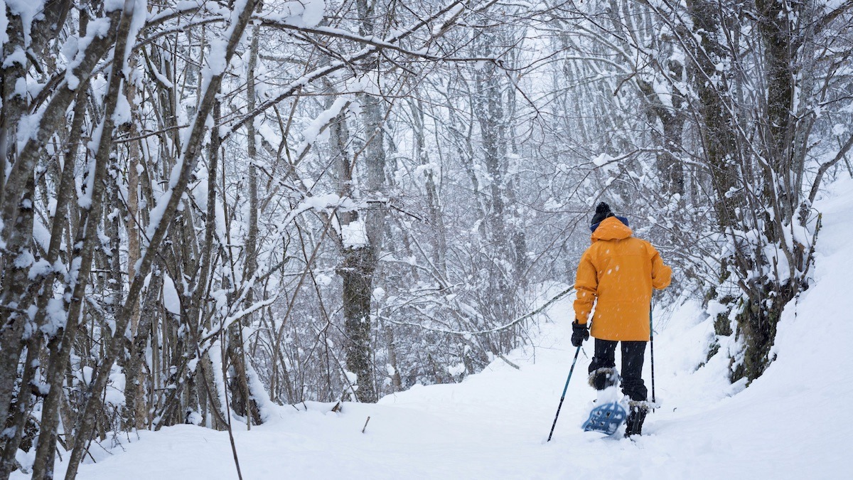 snow shoe