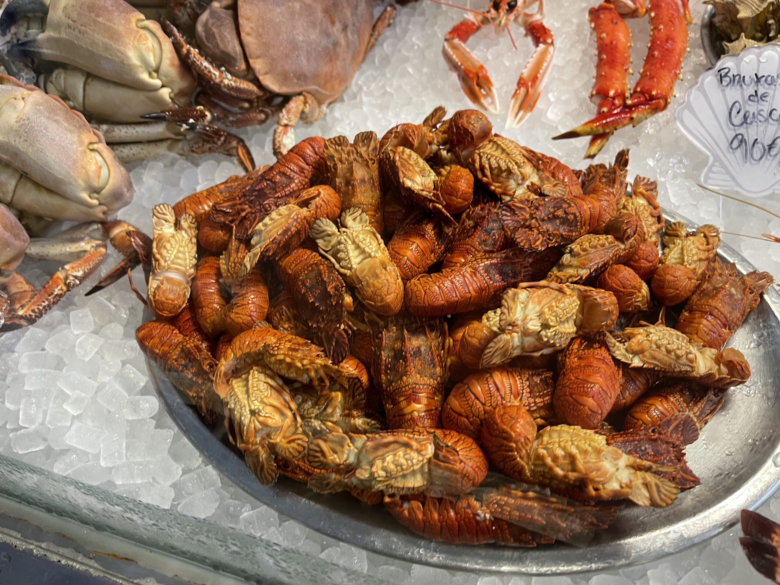 Slipper Lobsters From Cascais