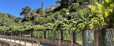 Trilho da Ribeira da Vinhas Walking Trail