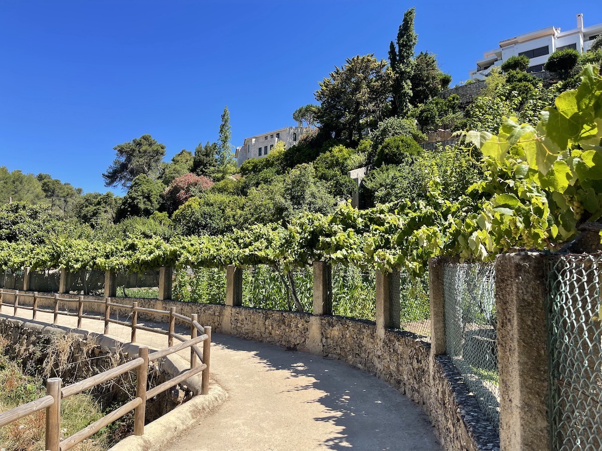 Trilho da Ribeira da Vinhas Walking Trail