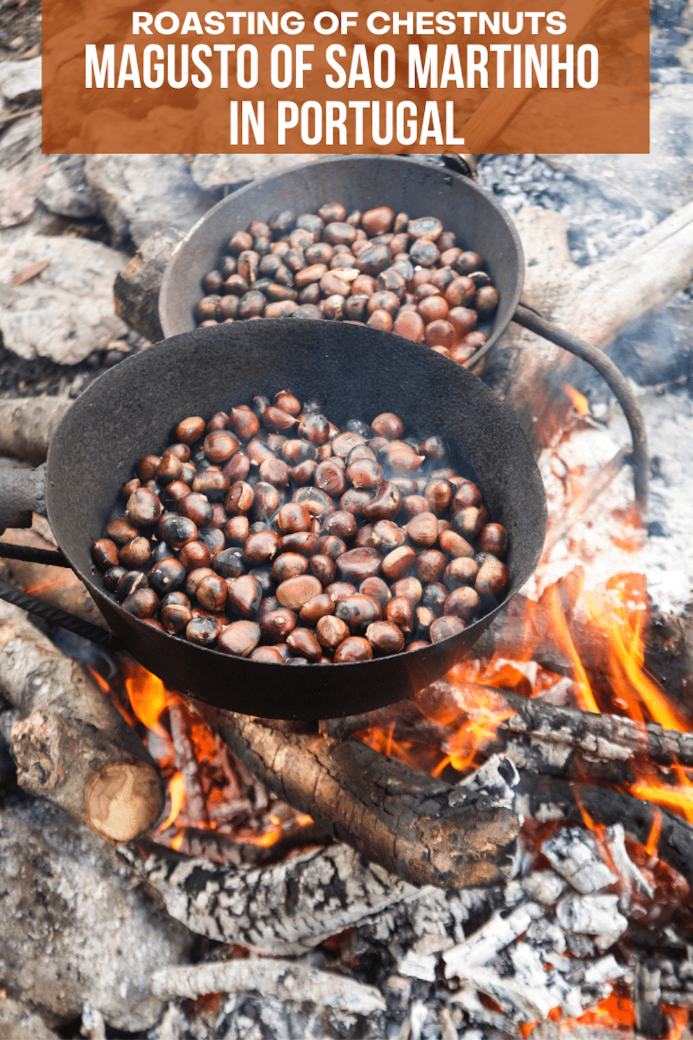 Bonfire of Chesnuts Sao Martinho