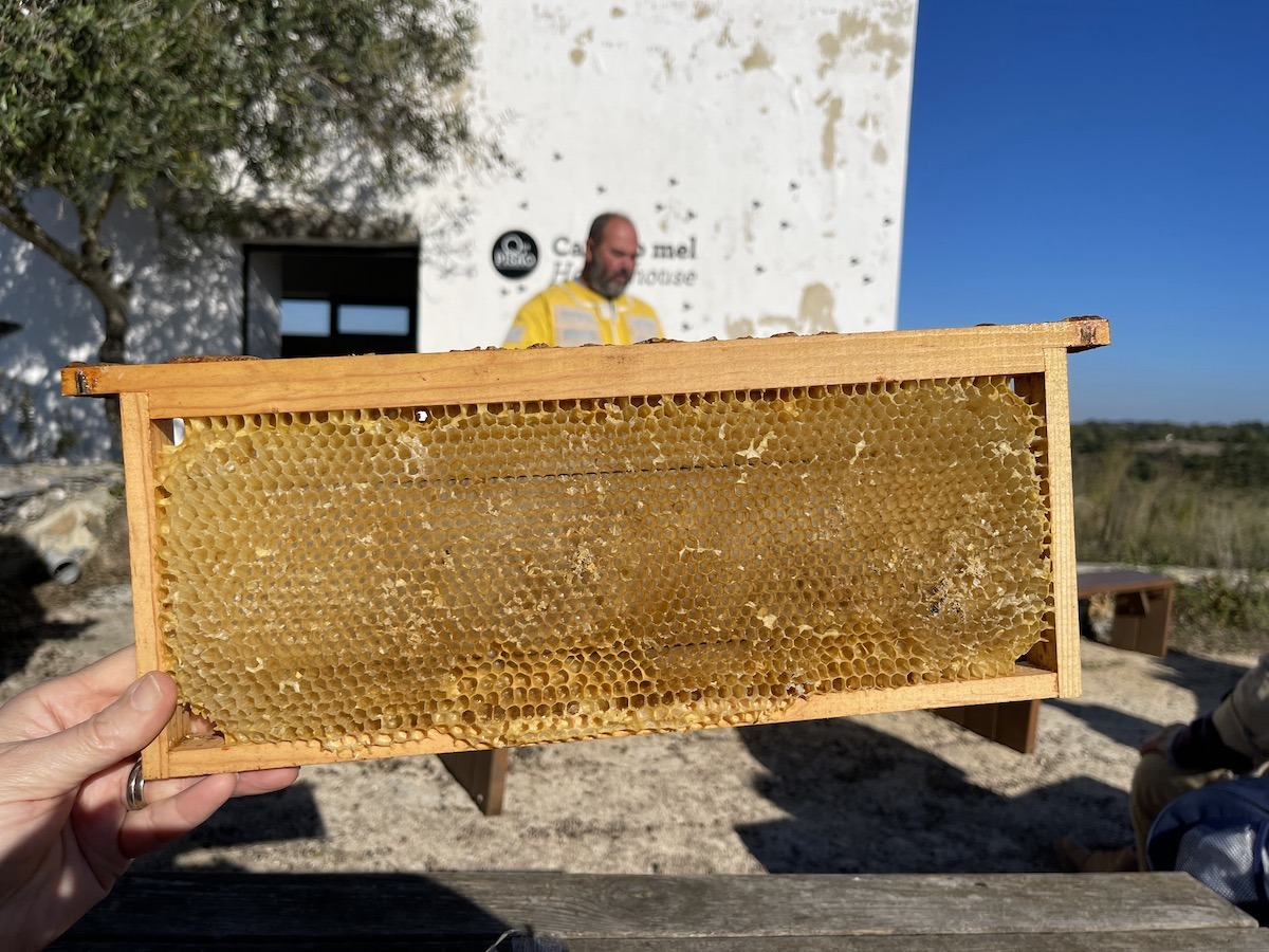 Learning about bees at Quinta do Pisao