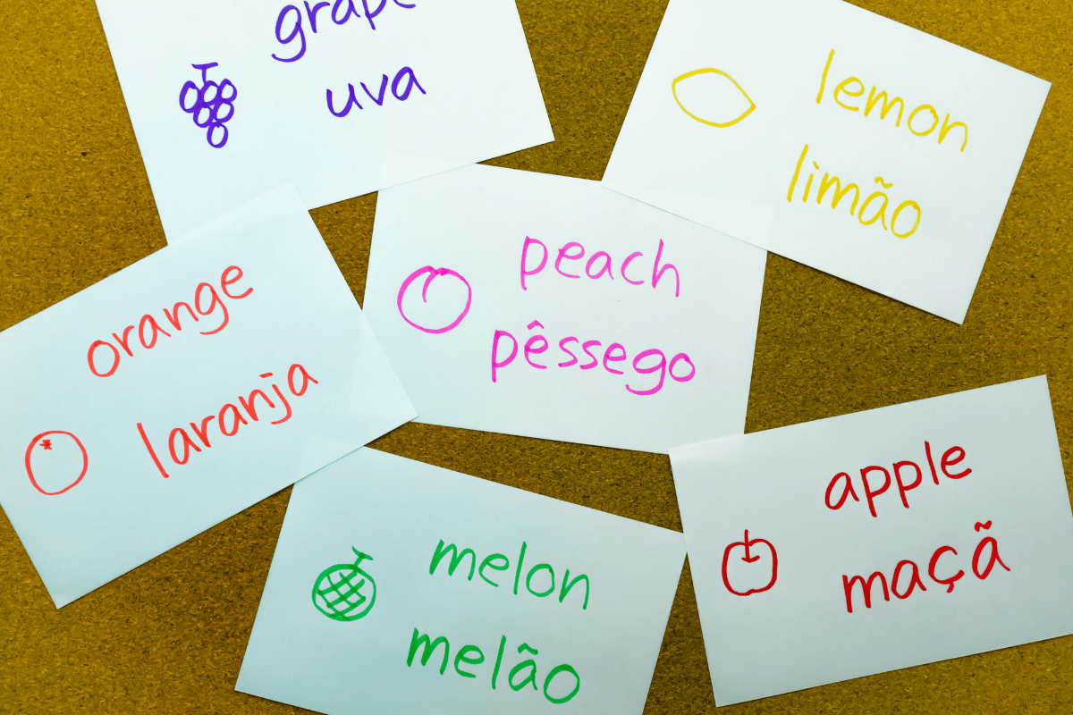 flash cards learning Portuguese