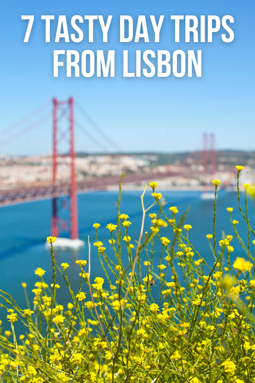 Lisbon Day Trips