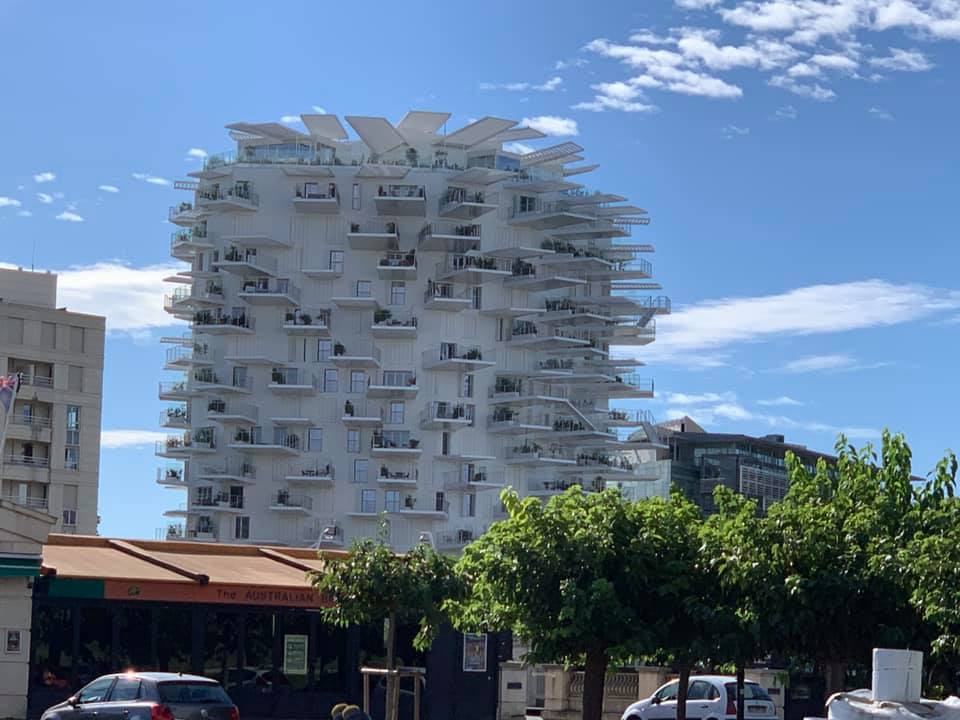 White Tree Building Montpellier